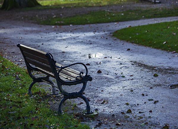 ASC Photo Chevigny-Saint-Sauveur BTHEEL