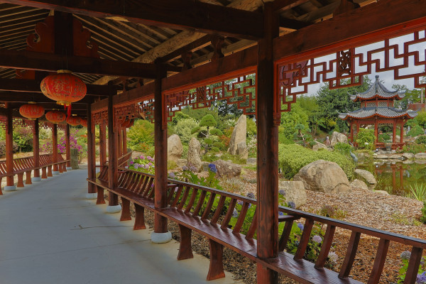 ASC Photo Chevigny-Saint-Sauveur - MADELINE Daniel