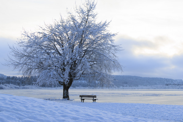 ASC Photo Chevigny St Sauveur - DEMOL Catherine