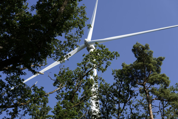 Claire CHATON-AUBEY - Lumière en Arc