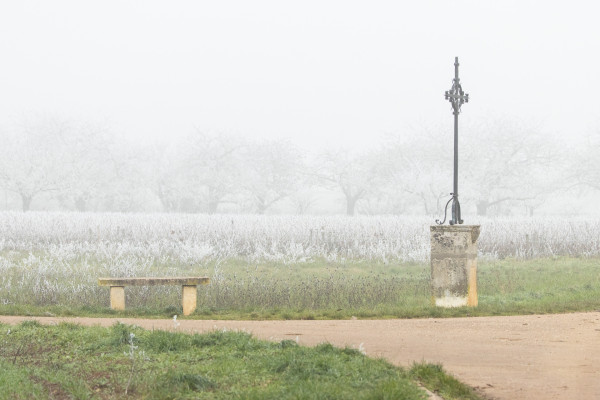 Collectif Aqueduc Photo - Michel Schweighoffer