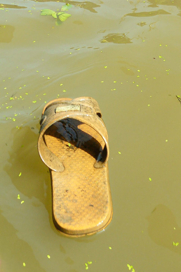 D Deley - Le Creusot