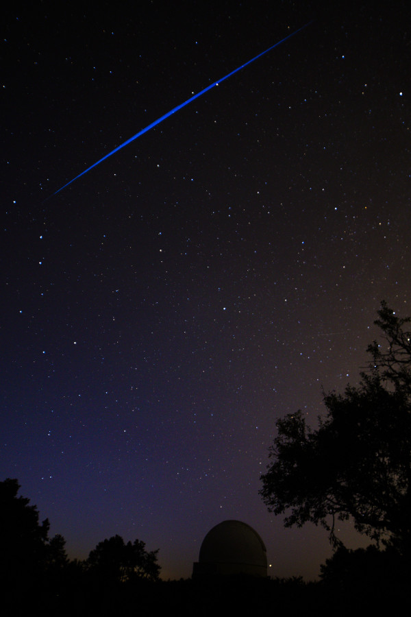 D Lachal - Chevigny - Elon Musk