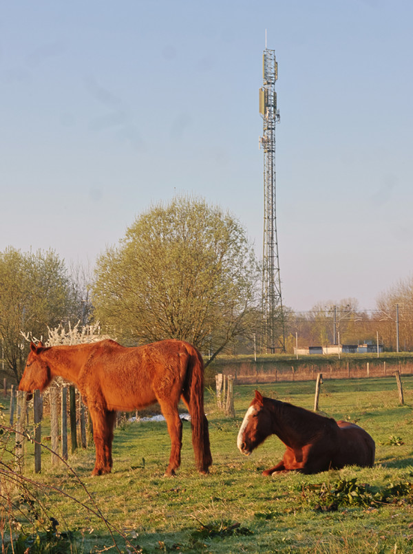 Didier DEFERT- Lumière en Arc