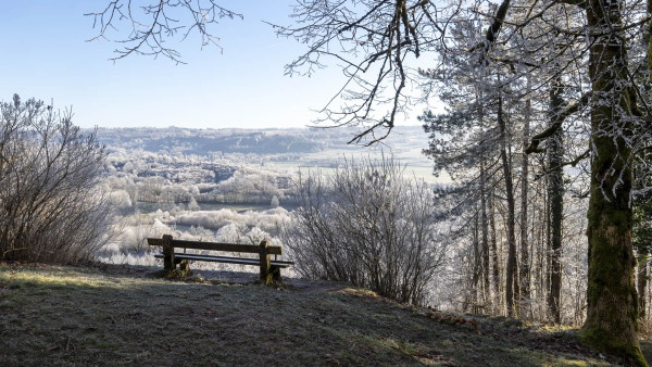 Didier Zander_club photo Mâcon