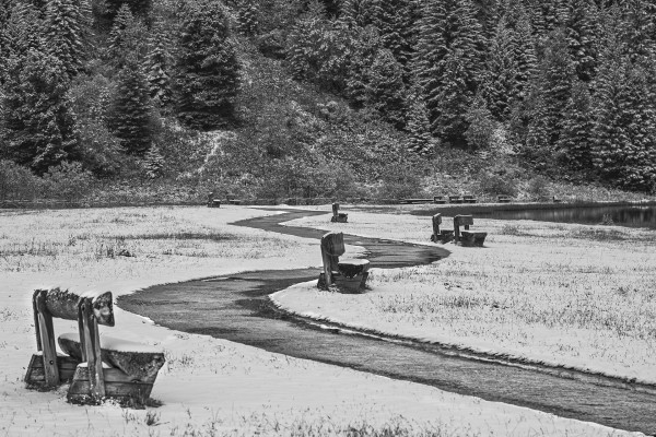 Dominique Gaillardon_club photo Mâcon