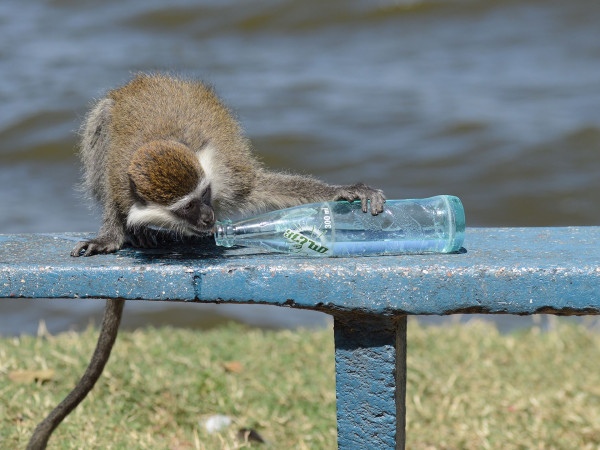 M Christine Mugnier- club photo  Mâcon
