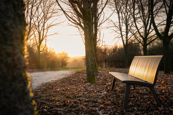 Olecziak Patrick Objectif Photo