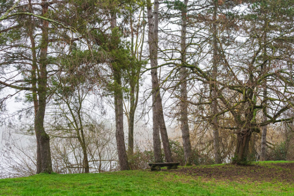 Pascal Lecroq Delale-Photoclub niepce