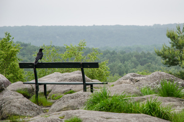 Stéphane Lebreton CPCNivernais